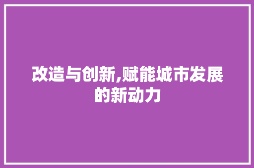 改造与创新,赋能城市发展的新动力