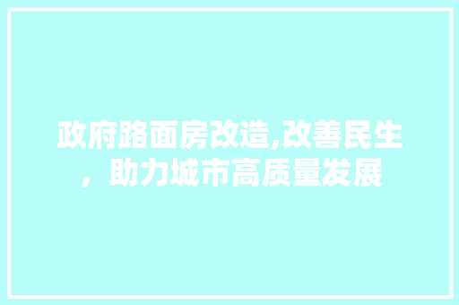 政府路面房改造,改善民生，助力城市高质量发展