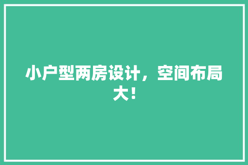 小户型两房设计，空间布局大！
