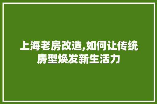 上海老房改造,如何让传统房型焕发新生活力