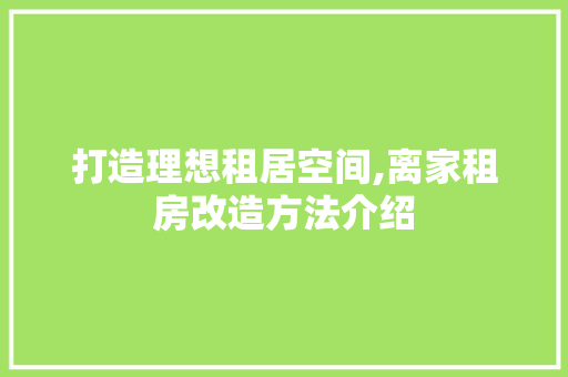 打造理想租居空间,离家租房改造方法介绍