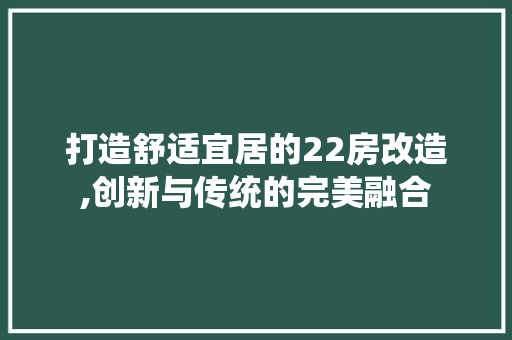 打造舒适宜居的22房改造,创新与传统的完美融合
