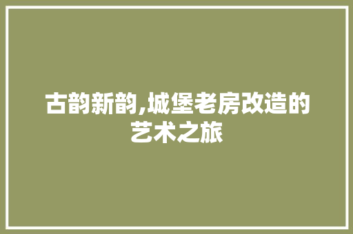古韵新韵,城堡老房改造的艺术之旅