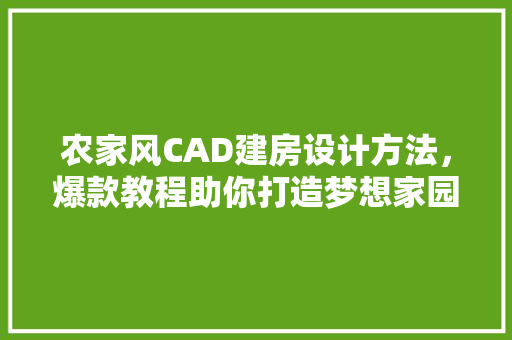 农家风CAD建房设计方法，爆款教程助你打造梦想家园