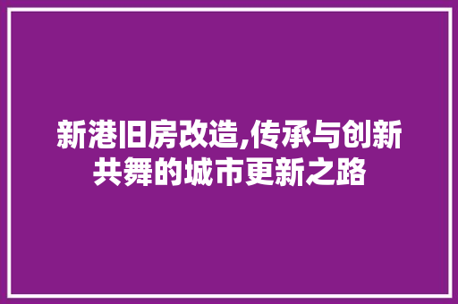 新港旧房改造,传承与创新共舞的城市更新之路