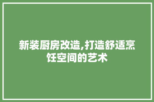 新装厨房改造,打造舒适烹饪空间的艺术
