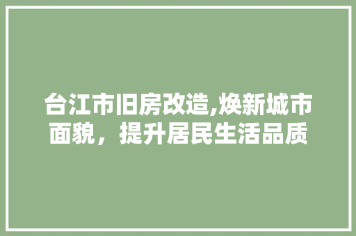 台江市旧房改造,焕新城市面貌，提升居民生活品质