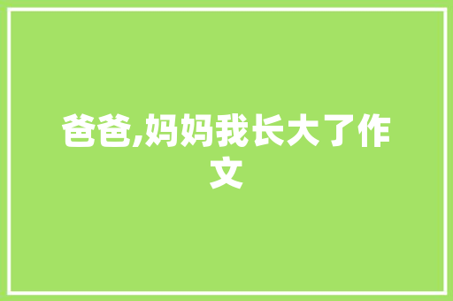 24平米婚房，诠释空间魔法，打造温馨家居生活
