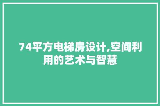 74平方电梯房设计,空间利用的艺术与智慧