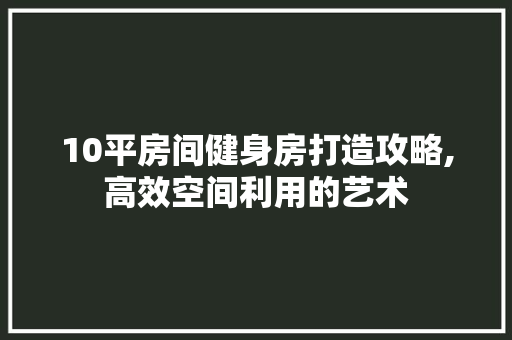 10平房间健身房打造攻略,高效空间利用的艺术