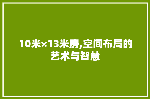 10米×13米房,空间布局的艺术与智慧