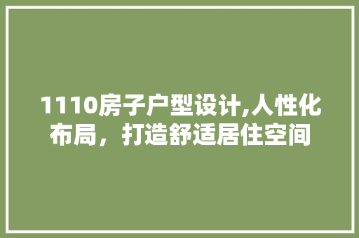 1110房子户型设计,人性化布局，打造舒适居住空间