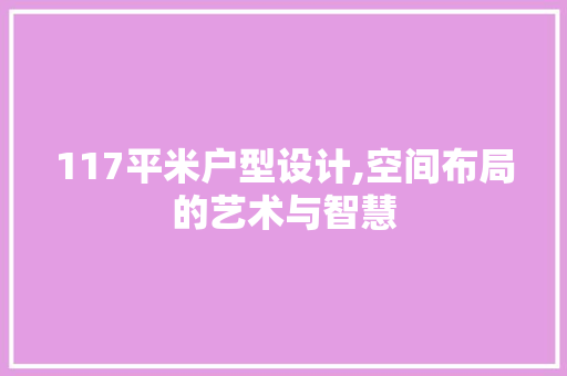 117平米户型设计,空间布局的艺术与智慧