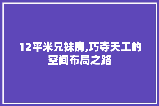 12平米兄妹房,巧夺天工的空间布局之路