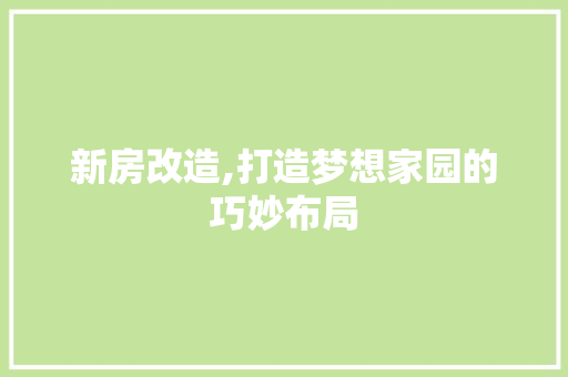 新房改造,打造梦想家园的巧妙布局