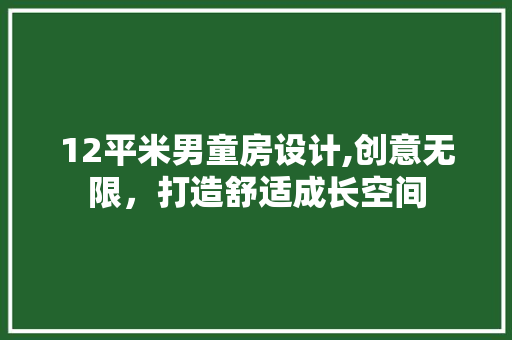 12平米男童房设计,创意无限，打造舒适成长空间