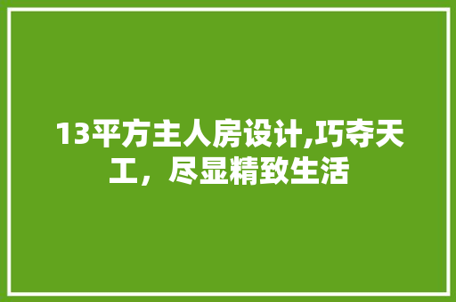 13平方主人房设计,巧夺天工，尽显精致生活