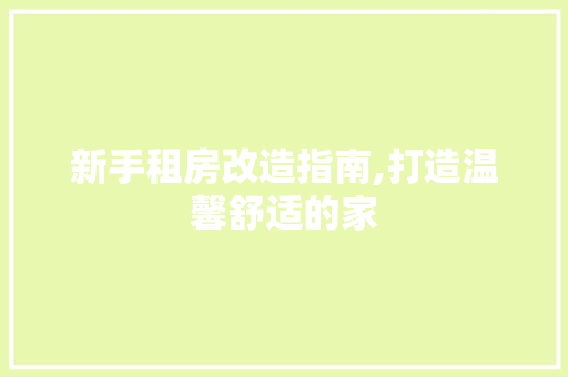 新手租房改造指南,打造温馨舒适的家