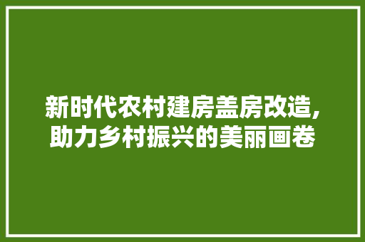 新时代农村建房盖房改造,助力乡村振兴的美丽画卷
