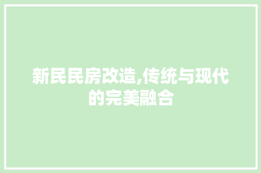 新民民房改造,传统与现代的完美融合