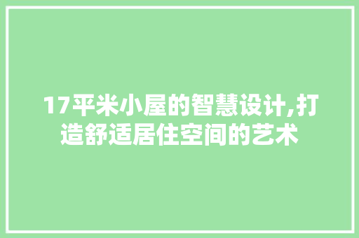 17平米小屋的智慧设计,打造舒适居住空间的艺术