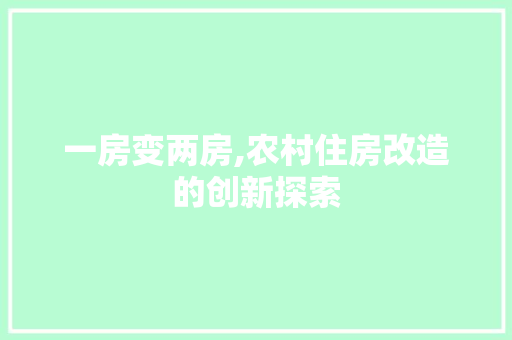 一房变两房,农村住房改造的创新探索
