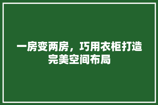 一房变两房，巧用衣柜打造完美空间布局