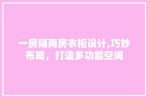 一房隔两房衣柜设计,巧妙布局，打造多功能空间
