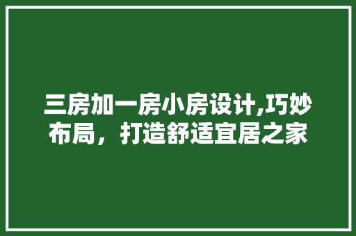 三房加一房小房设计,巧妙布局，打造舒适宜居之家