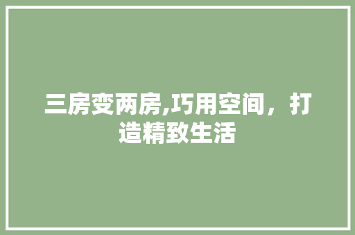 三房变两房,巧用空间，打造精致生活