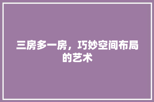 三房多一房，巧妙空间布局的艺术