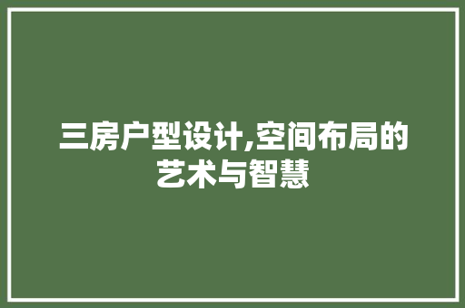 三房户型设计,空间布局的艺术与智慧