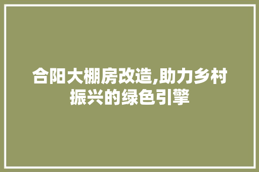 合阳大棚房改造,助力乡村振兴的绿色引擎