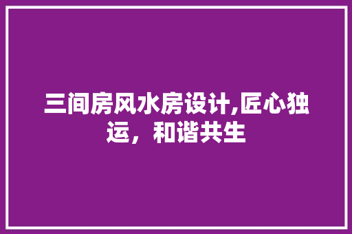 三间房风水房设计,匠心独运，和谐共生