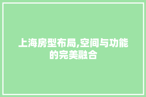 上海房型布局,空间与功能的完美融合