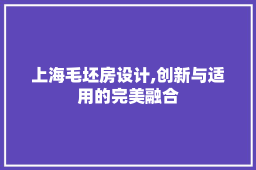 上海毛坯房设计,创新与适用的完美融合