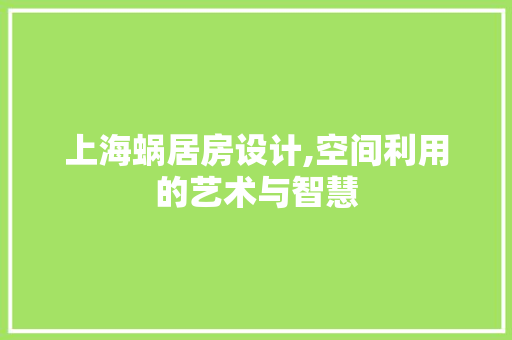 上海蜗居房设计,空间利用的艺术与智慧