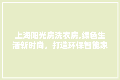 上海阳光房洗衣房,绿色生活新时尚，打造环保智能家居空间