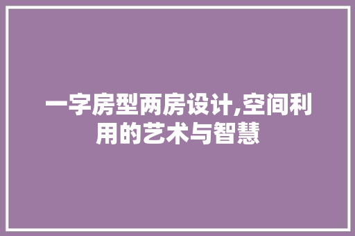 一字房型两房设计,空间利用的艺术与智慧