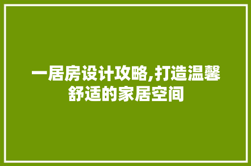 一居房设计攻略,打造温馨舒适的家居空间