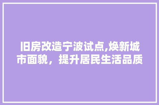 旧房改造宁波试点,焕新城市面貌，提升居民生活品质