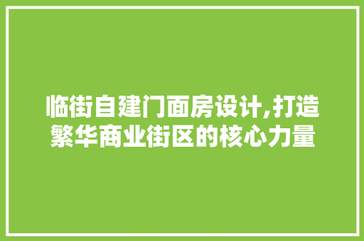 临街自建门面房设计,打造繁华商业街区的核心力量