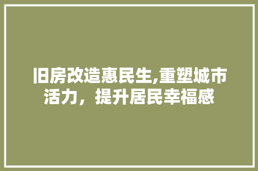 旧房改造惠民生,重塑城市活力，提升居民幸福感