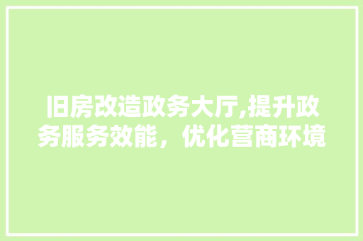 旧房改造政务大厅,提升政务服务效能，优化营商环境