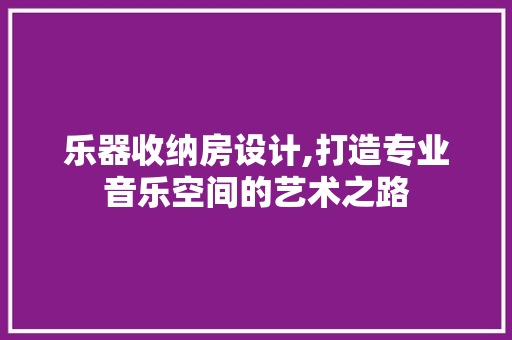 乐器收纳房设计,打造专业音乐空间的艺术之路