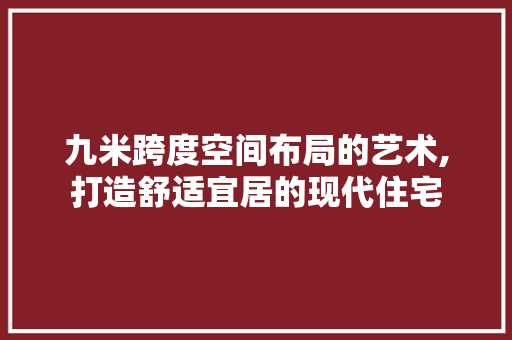 九米跨度空间布局的艺术,打造舒适宜居的现代住宅