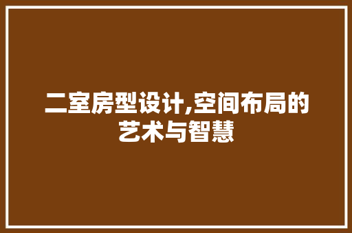 二室房型设计,空间布局的艺术与智慧