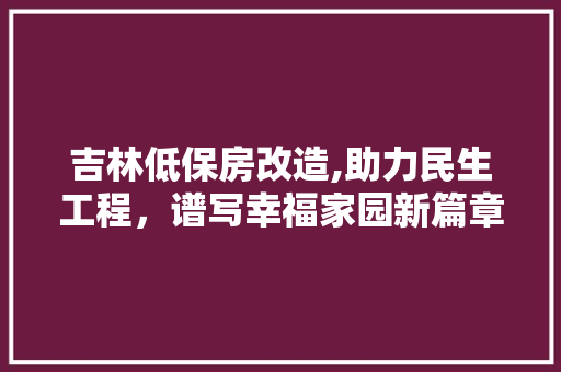 吉林低保房改造,助力民生工程，谱写幸福家园新篇章