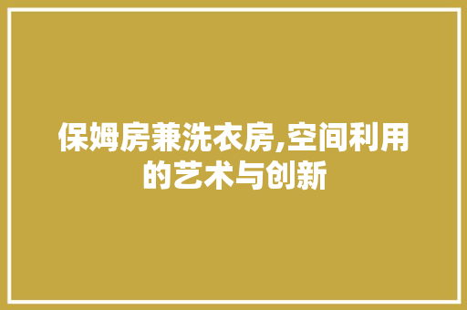 保姆房兼洗衣房,空间利用的艺术与创新