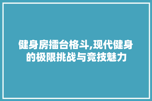 健身房擂台格斗,现代健身的极限挑战与竞技魅力